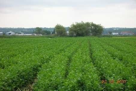 New property listed in Rural Bradford West Gwillimbury, Bradford West Gwillimbury